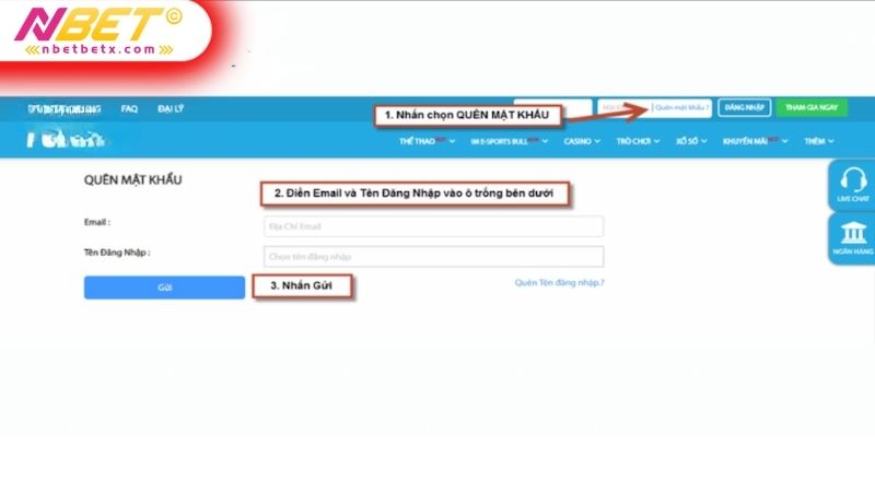 Nguyên nhân phổ biến khiến người chơi quên mật khẩu Nbet